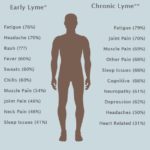 Lyme Disease and Ticks